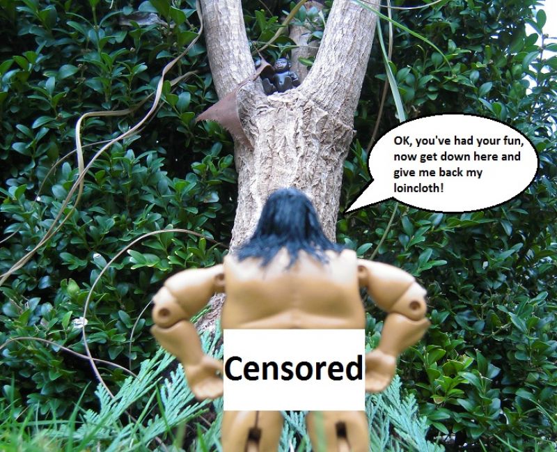 Tarzan4.jpg